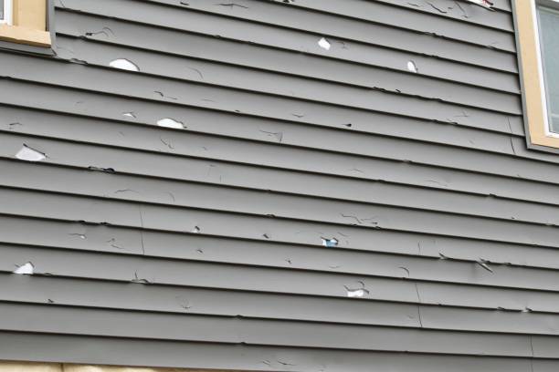 Best Hoarding Cleanup  in Terrytown, LA